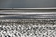 landscape13.jpg