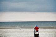 landscape27.jpg
