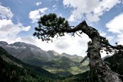 landscape5.jpg